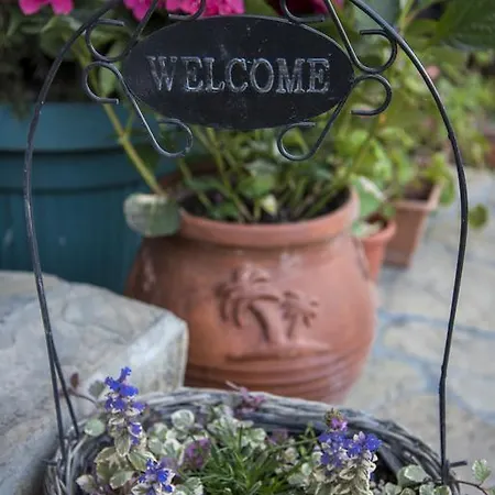 호텔 Toro Negro 골든샌드