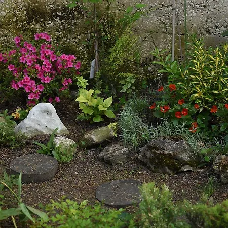 торо негро 3*