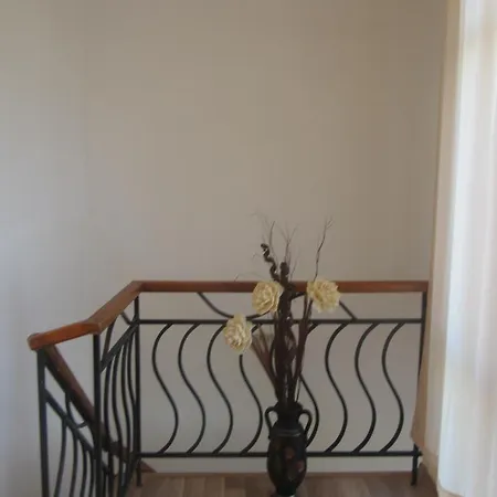 торо негро 3*