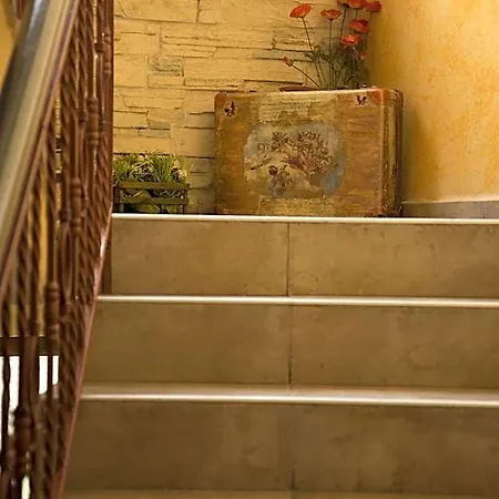 Hotel Toro Negro 3*