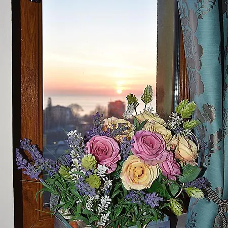 торо негро Хотел 3*