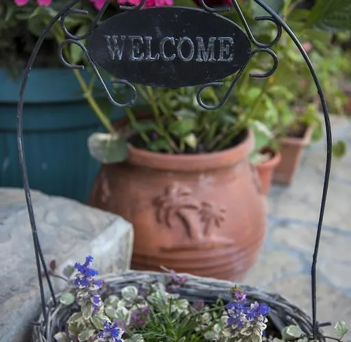 酒店 拖罗内格罗酒店 金沙